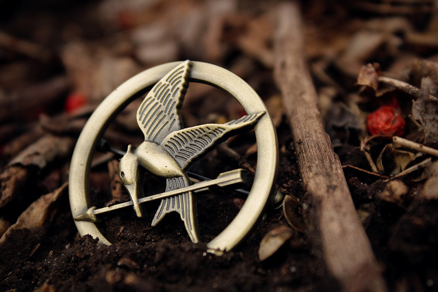Photo of a Mockingjay pin from the movie, "Hunger Games" for a blog post on Young Adult Fiction by Literative.com.
