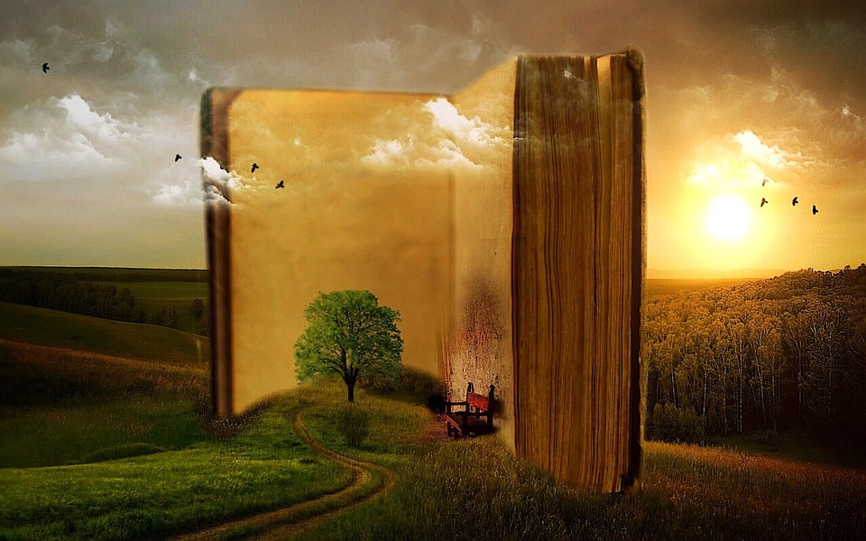 complete your novel with goals - literative