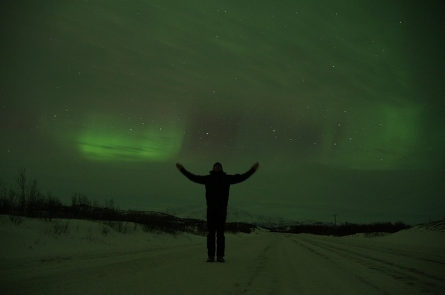 An image of a man standing, looking at the Northern Lights