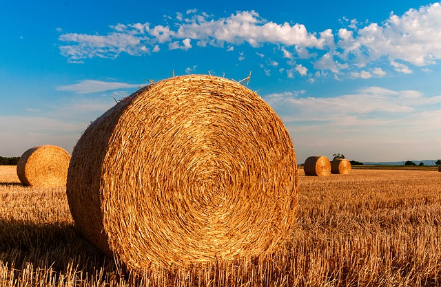 A photo of bales of hay
